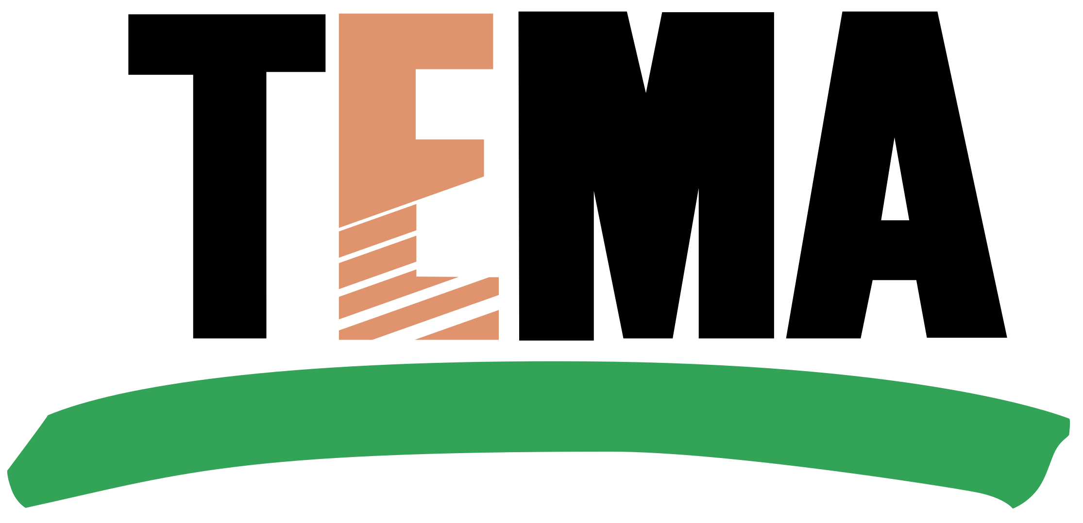 Logo of Tema